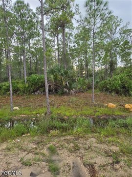 Land, Alva, FL