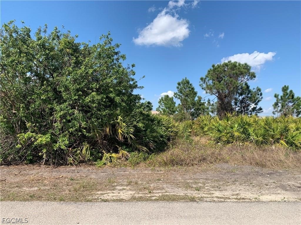 Wooded Lot in Growing Community