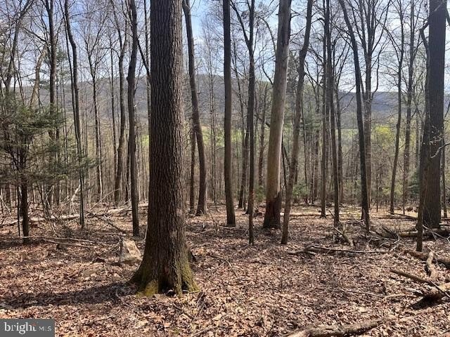 LAND - SHAMOKIN, PA