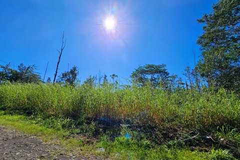 Orchidland Estates Two-Acre Parcel