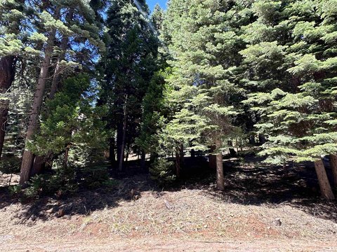 LAND - Lake Almanor, CA