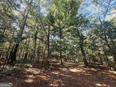 Land, Bowman, GA