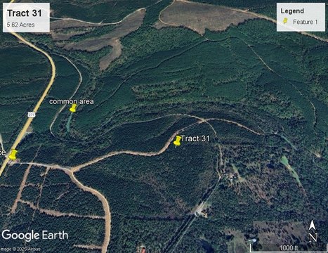 Land with Creek Access