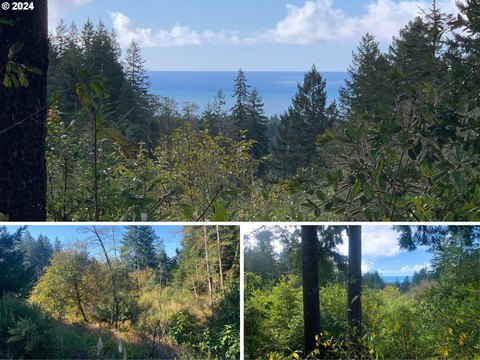 Brookings, Oregon Land For Sale