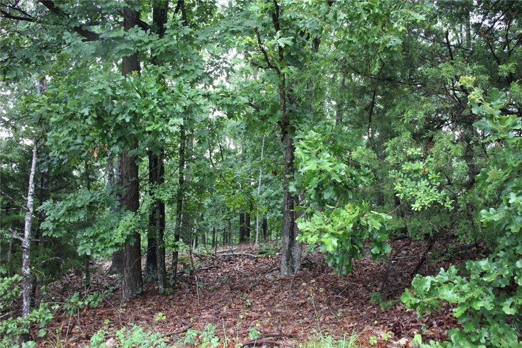 Picture 15
