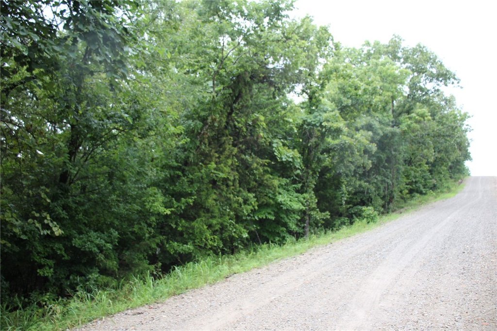 Picture 8