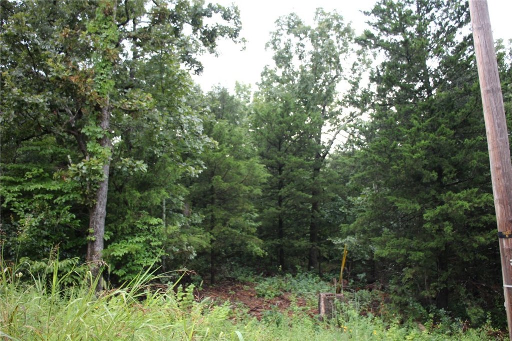 Picture 3