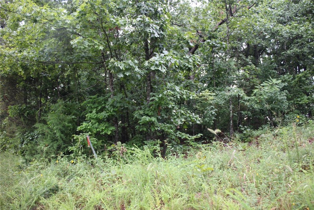 Picture 23