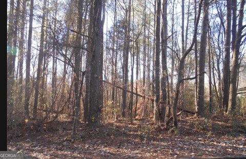 Land, Bowdon, GA