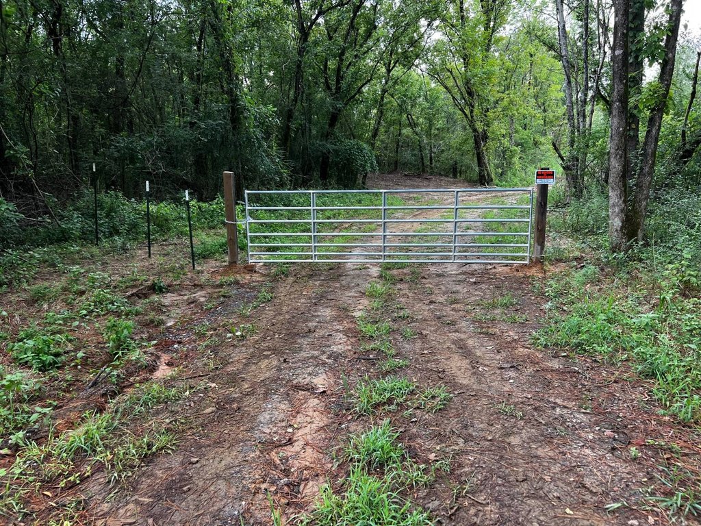 Picture 15