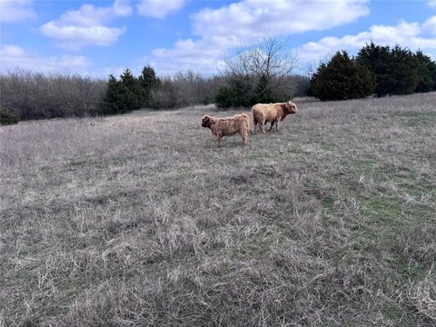 Unrestricted Land Near Greenville