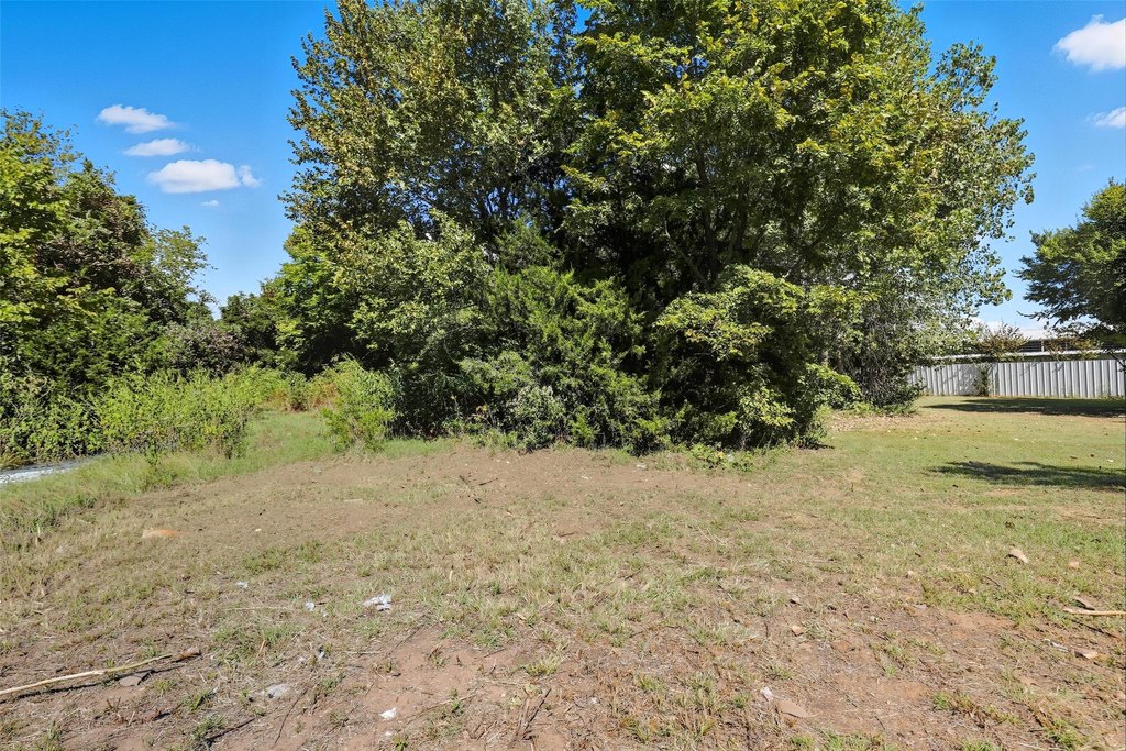 Picture 36