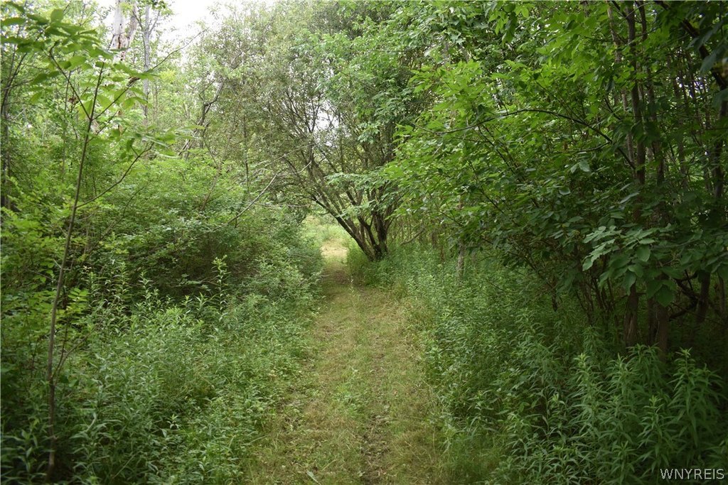Picture 17