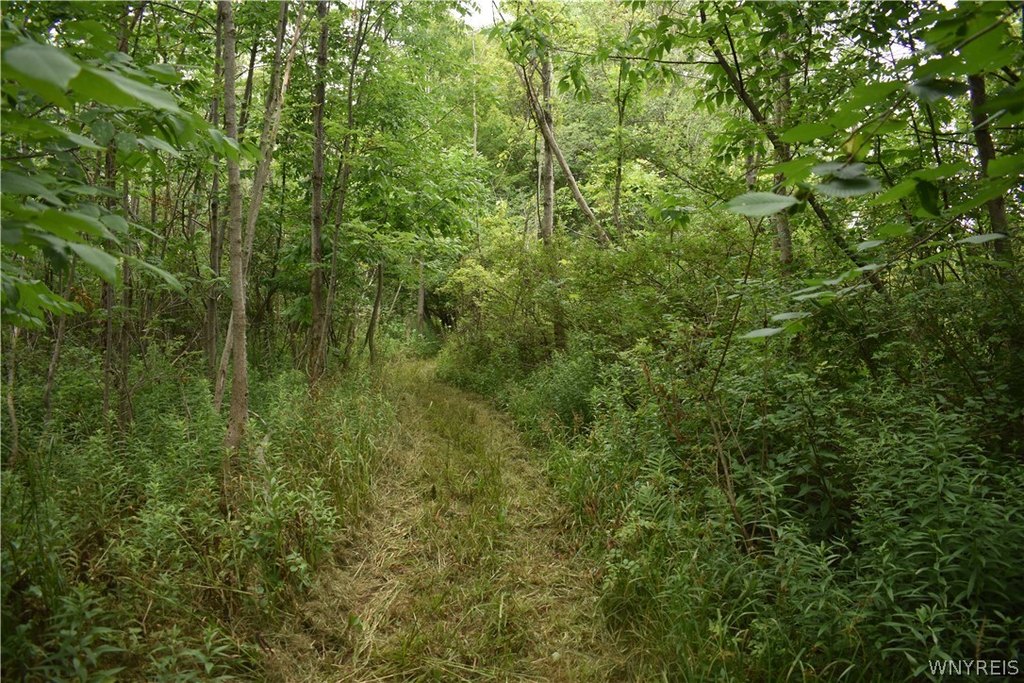 Picture 15