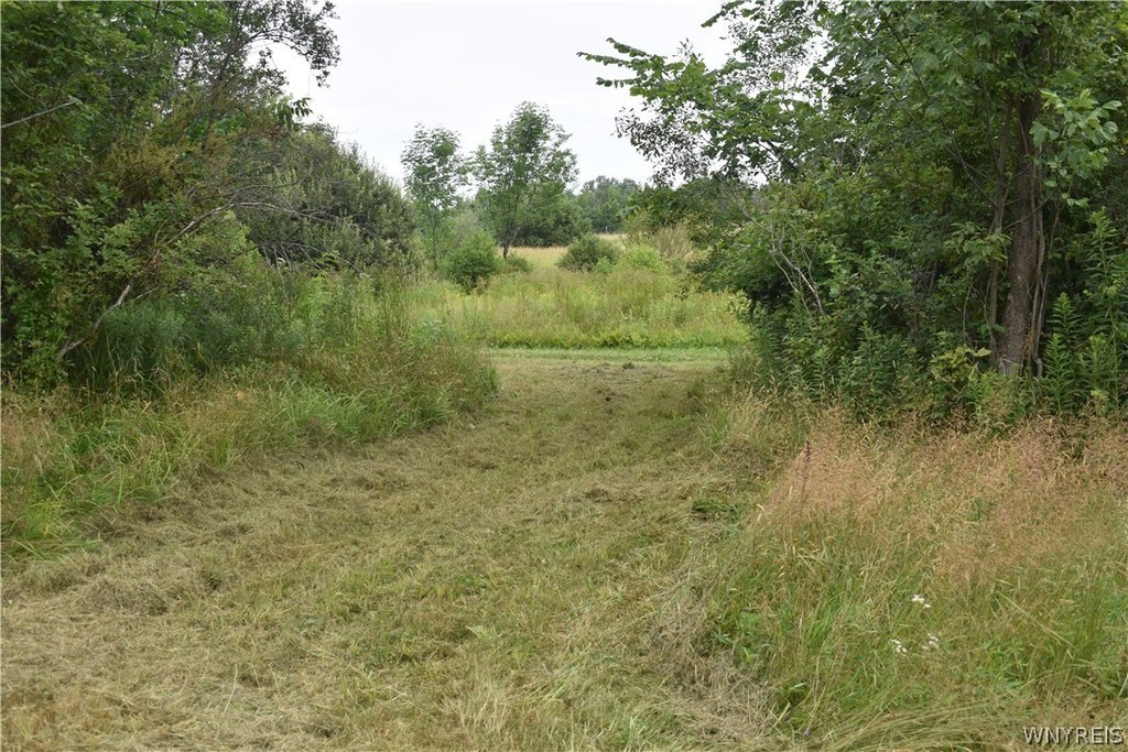 Picture 10