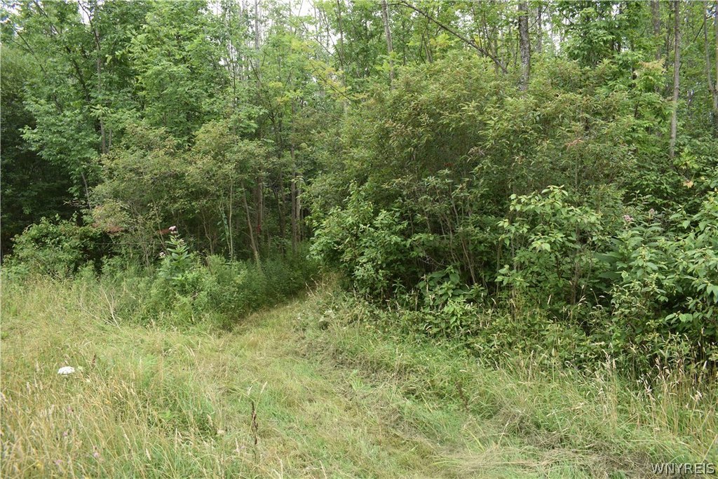 Picture 11