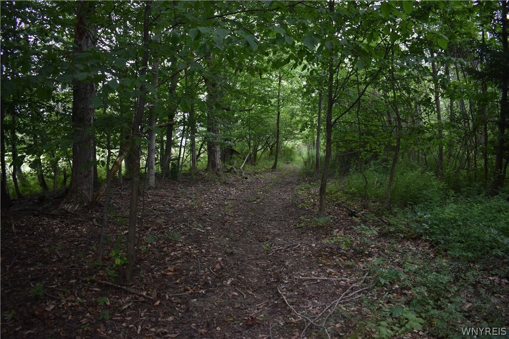 Picture 14