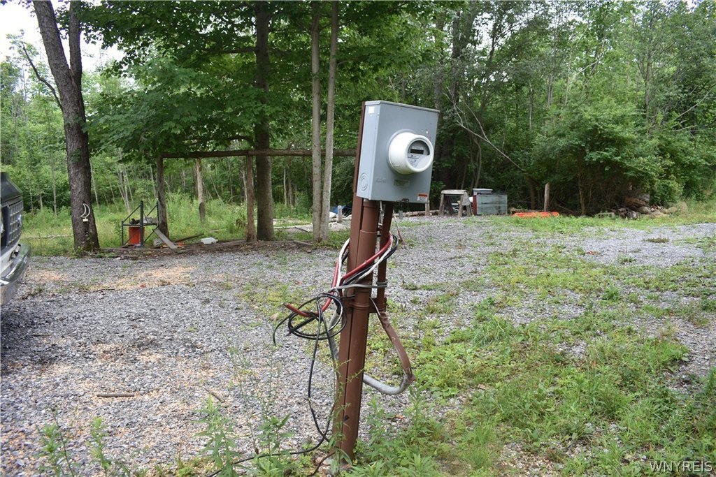 Picture 6