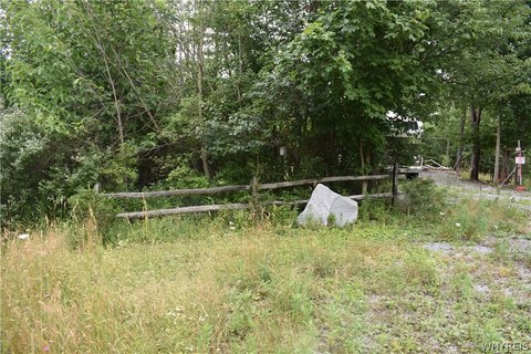 Land, Holland, NY