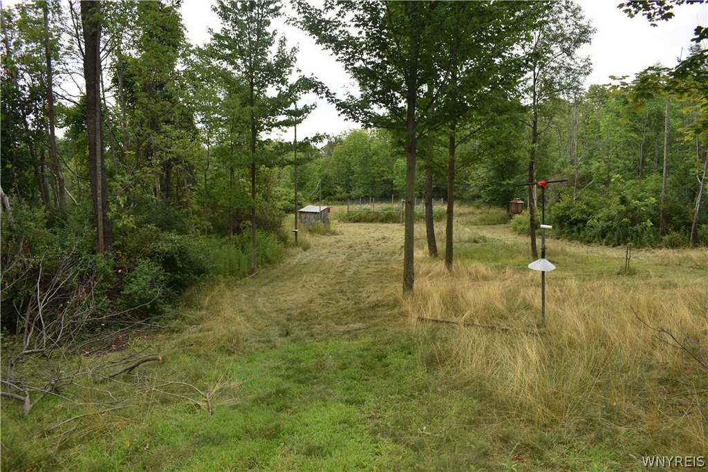 Picture 5