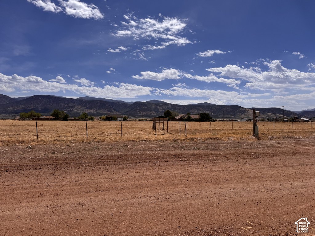 Picture 17