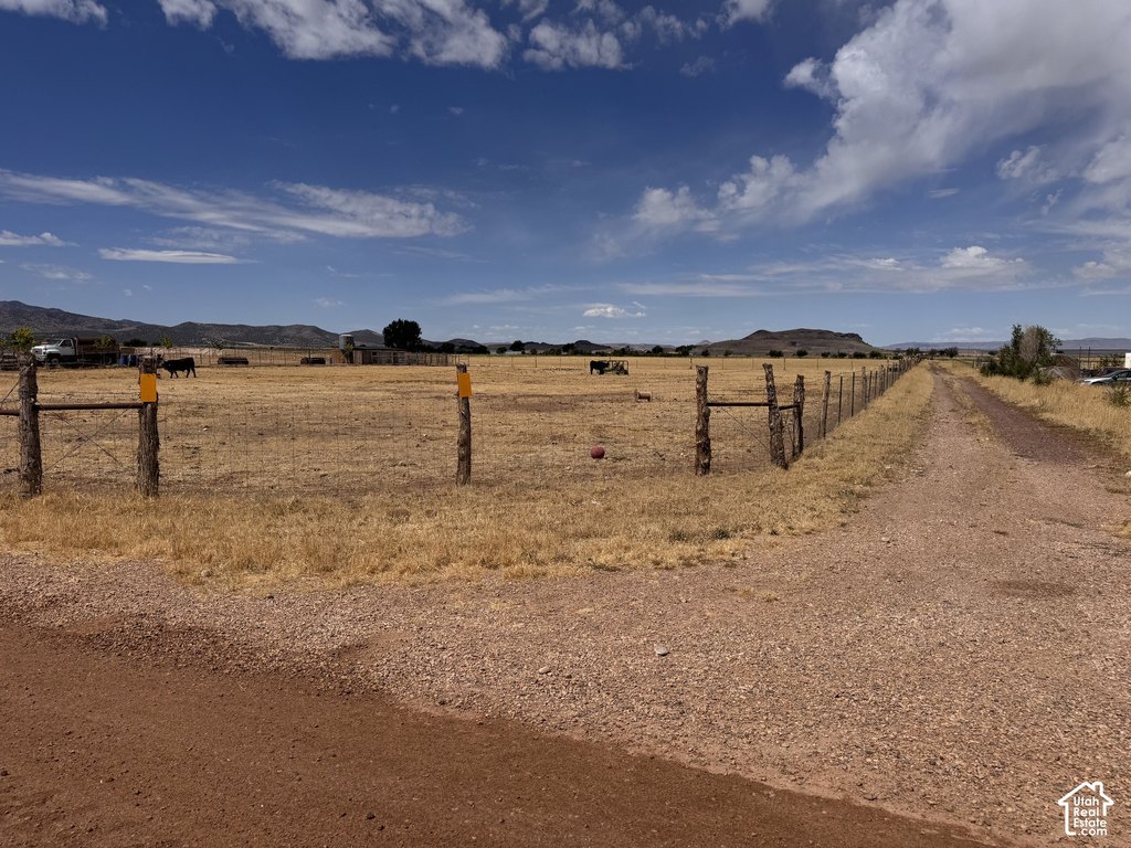 Picture 20