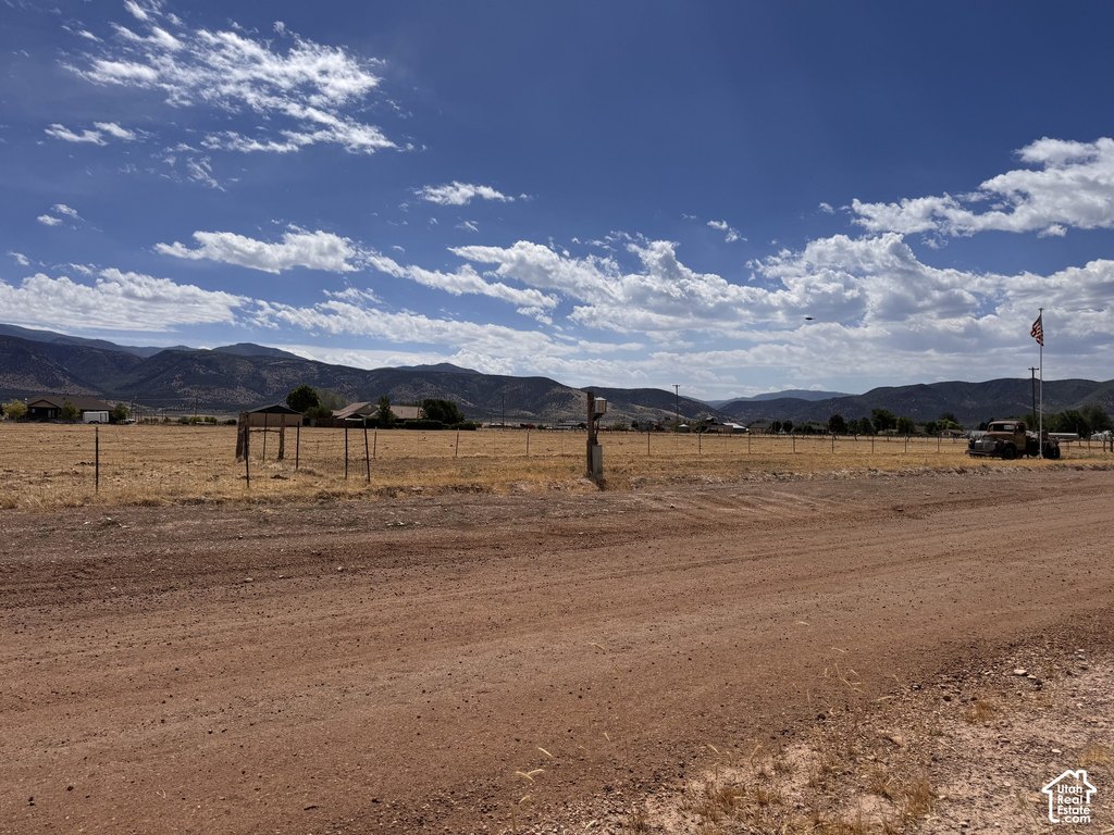 Picture 19