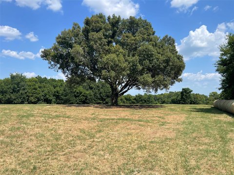 Unrestricted Acreage Along Alligator Creek
