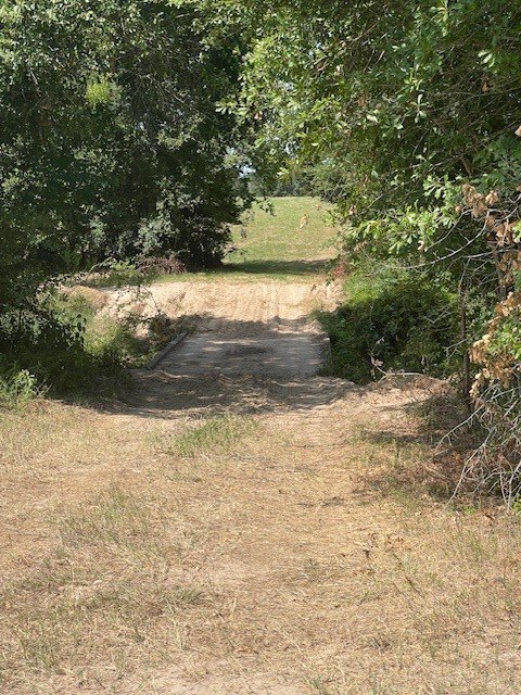 Picture 8