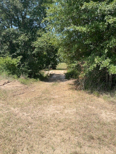 Picture 10