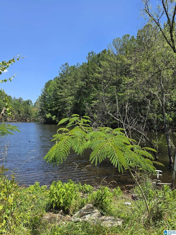 Picture 4