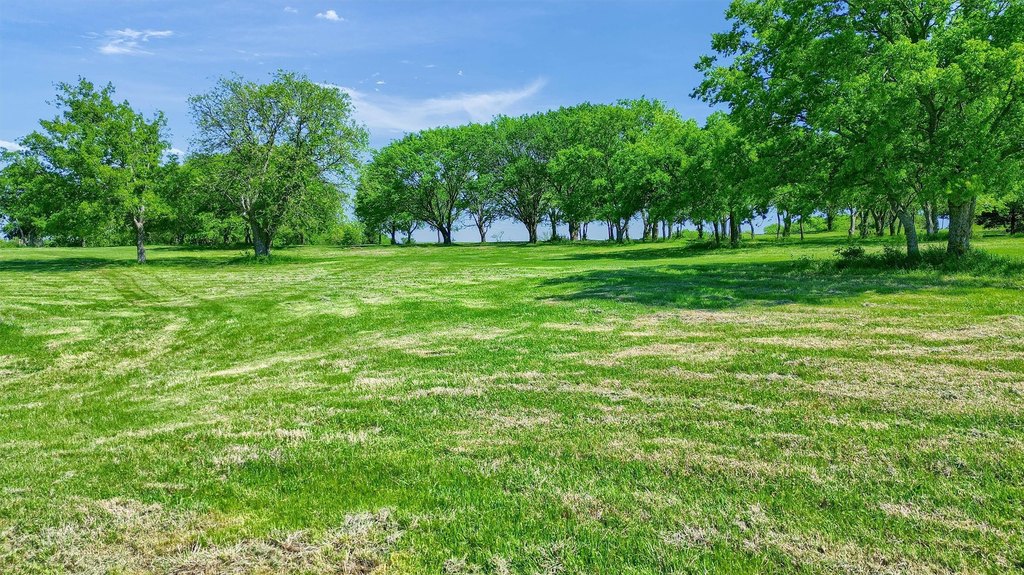 Picture 28