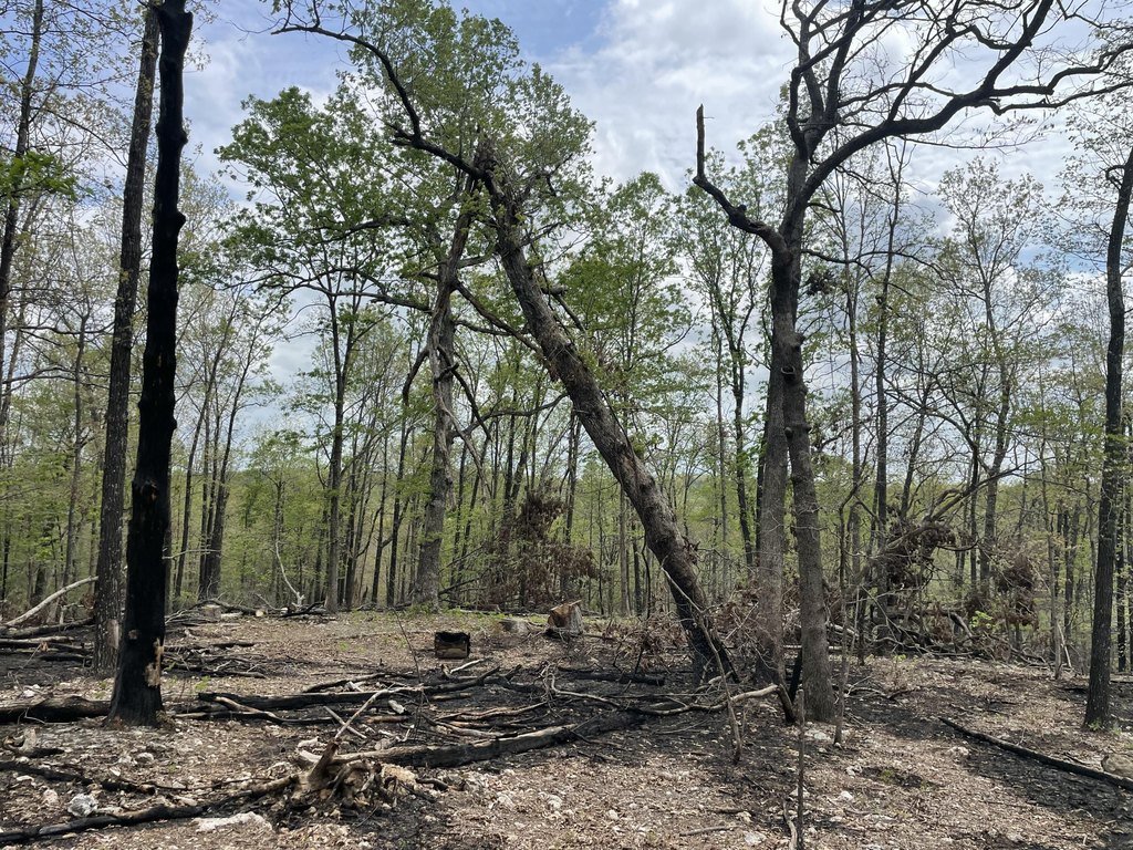 Picture 47