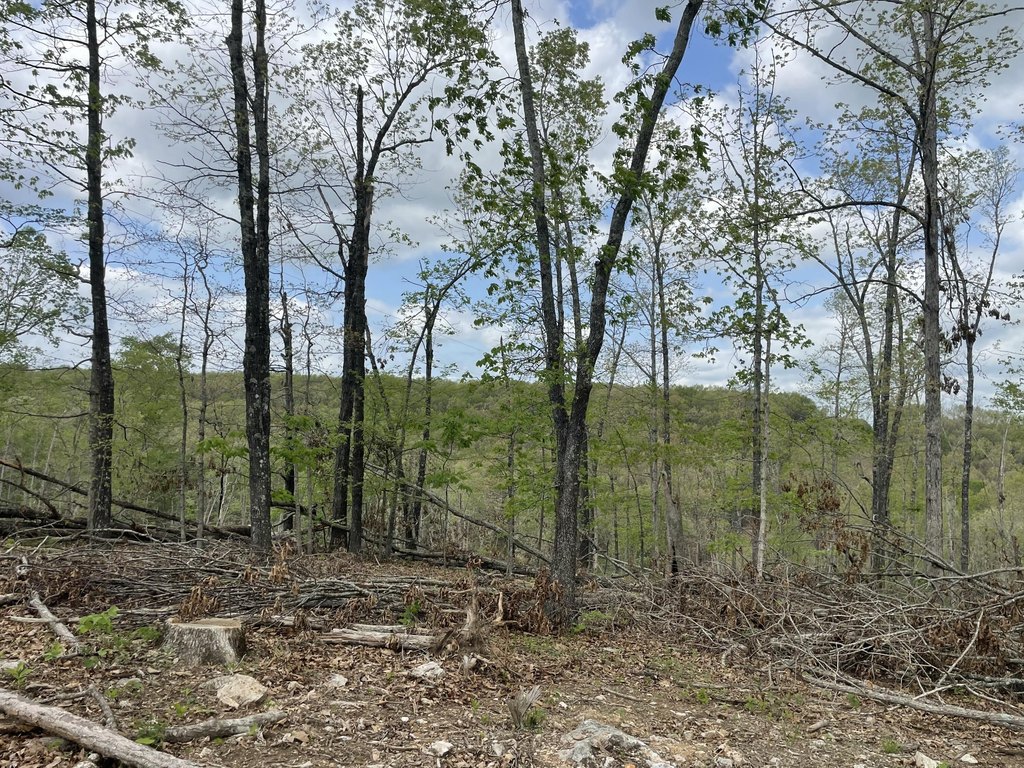 Picture 39
