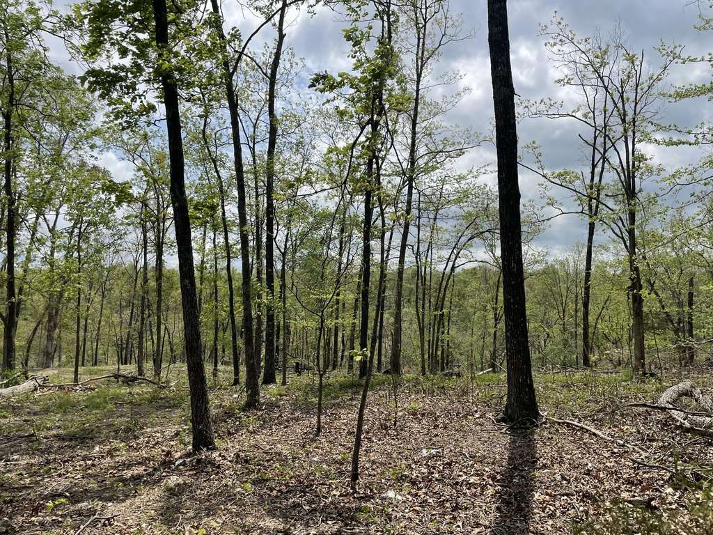 Picture 25