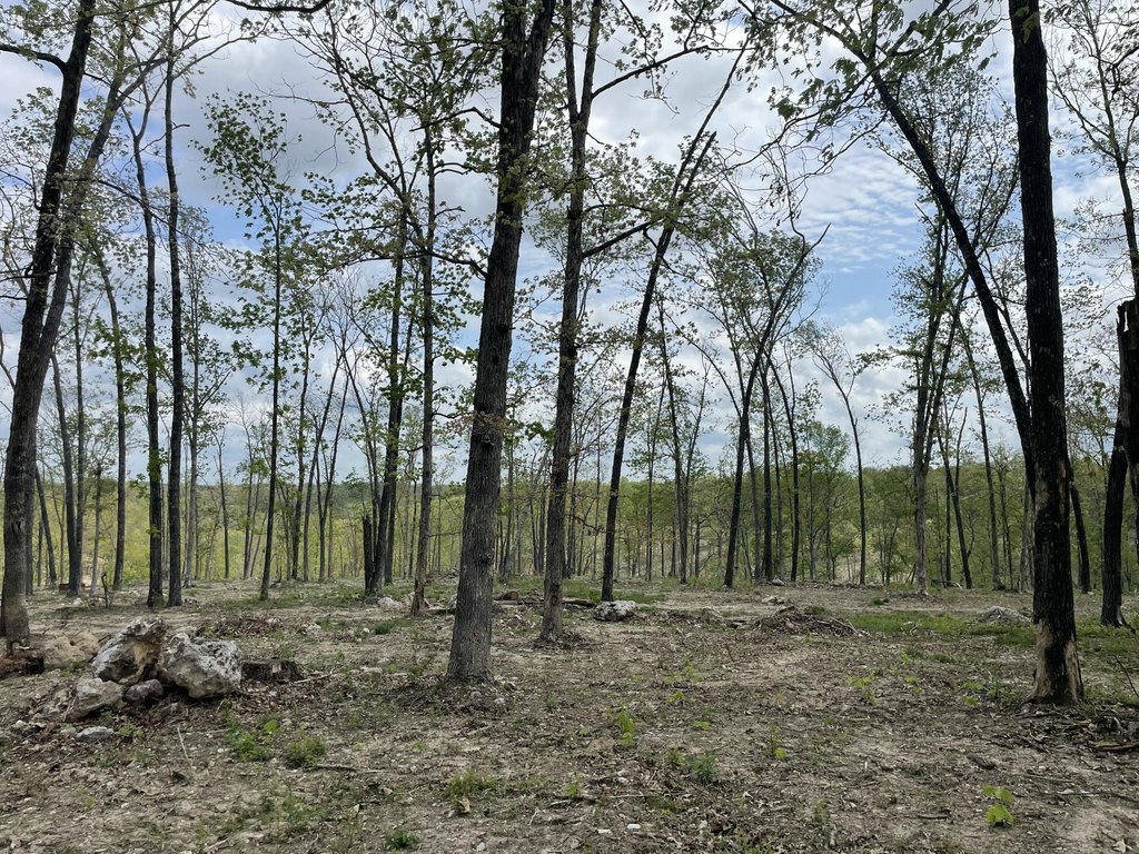 Picture 30