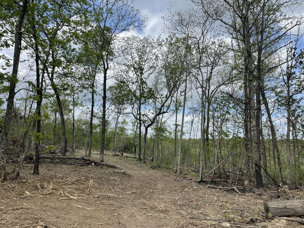 Picture 36