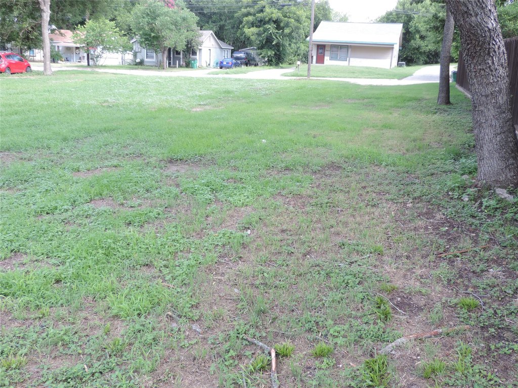 Picture 12