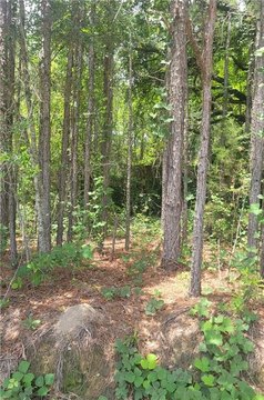 LAND - AUBURN, AL