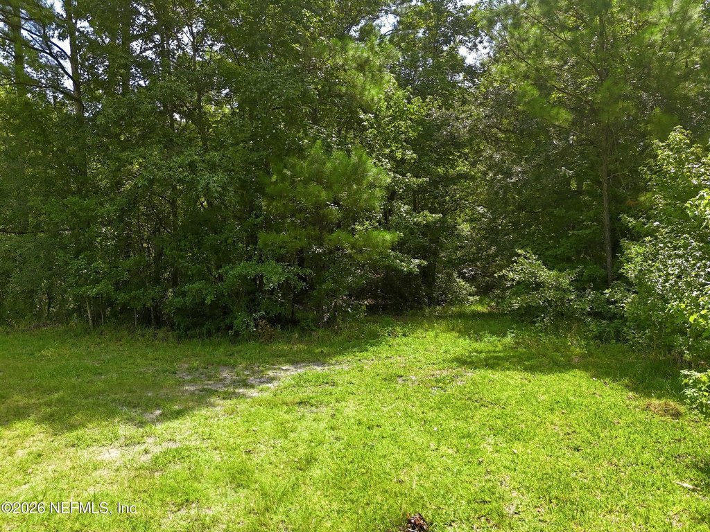 Picture 24