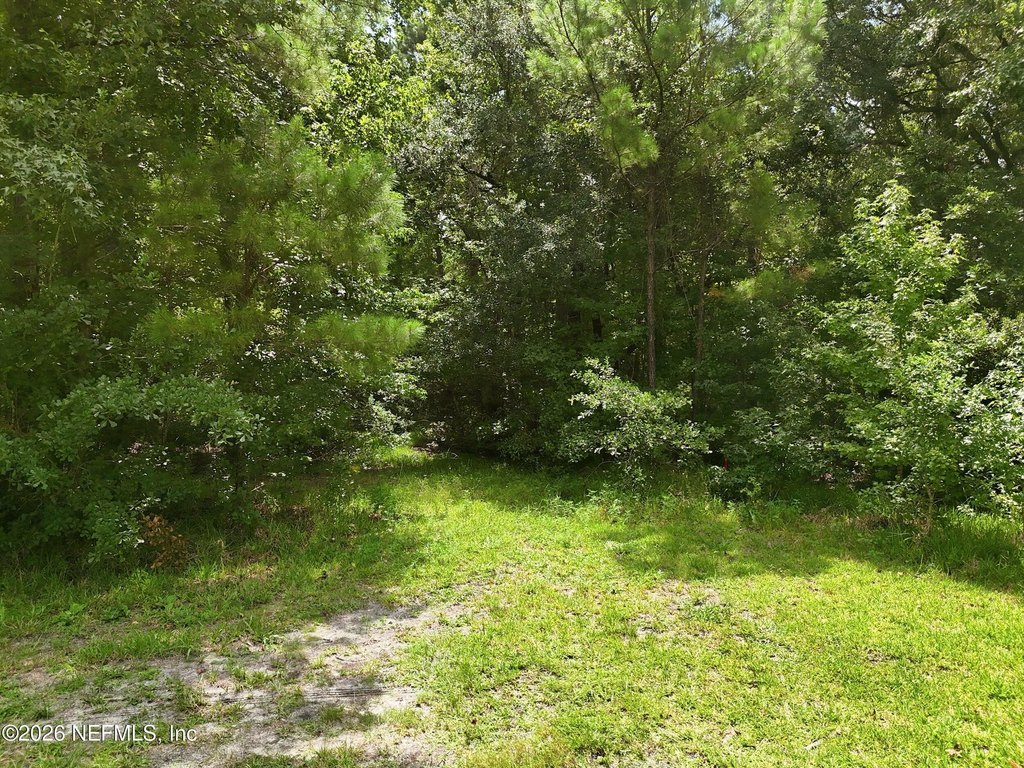 Picture 21