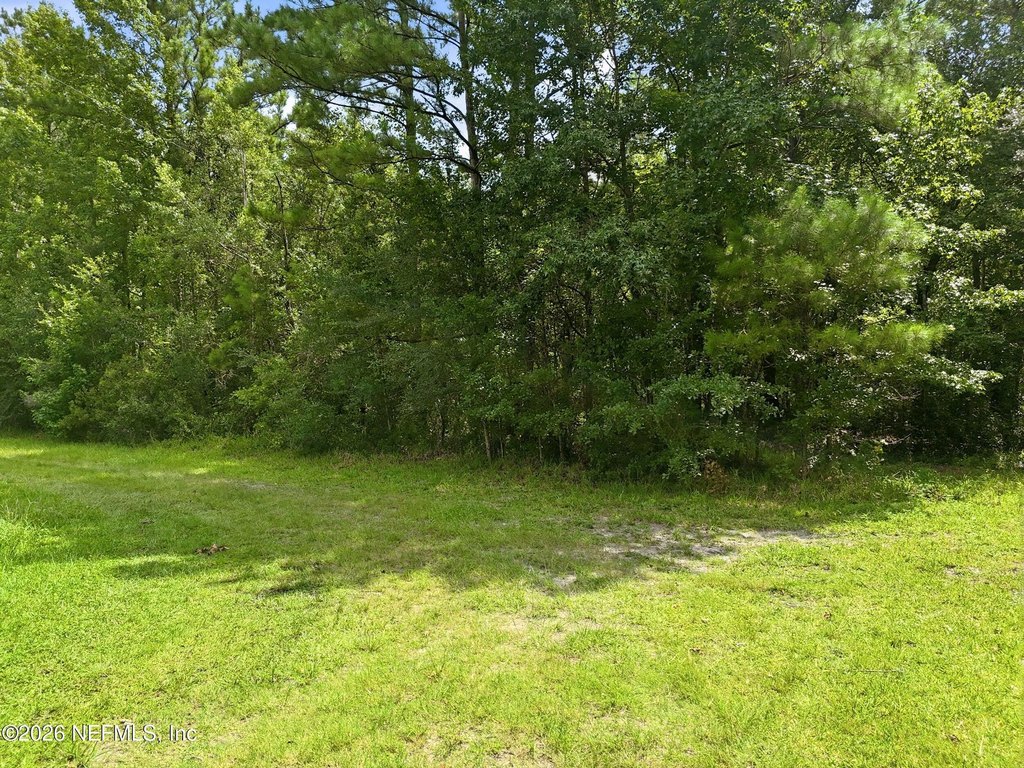 Picture 23