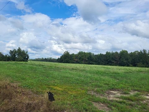Land, Ashford, AL