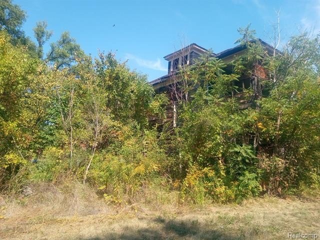 Picture 4