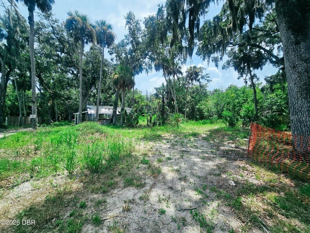 Picture 20