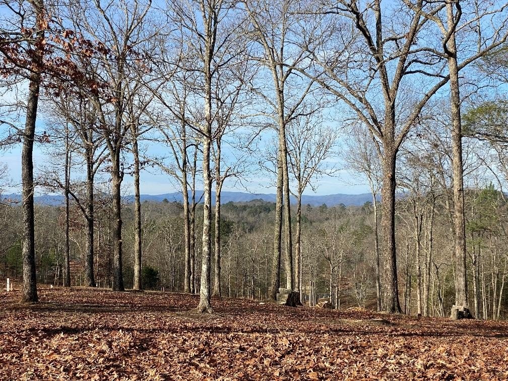 Mineral Bluff Vacant Lot