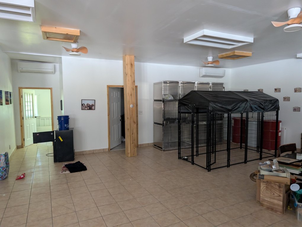 Picture 29