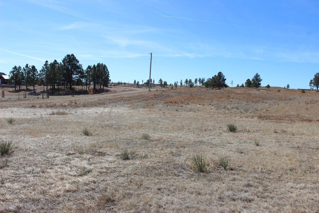 Picture 9