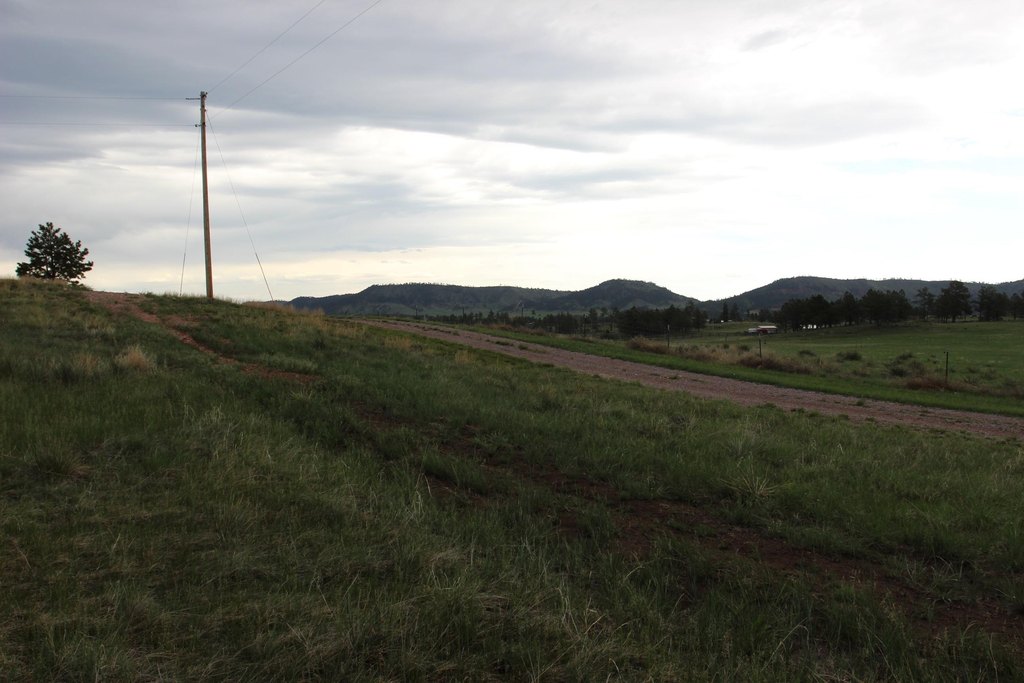 Picture 5