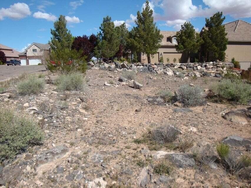Picture 19